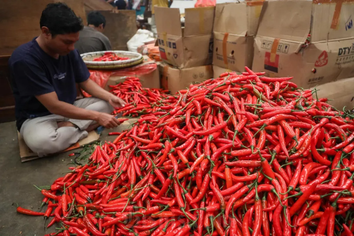 Update Harga Pangan Terbaru: Beras, Cabai, hingga Daging Naik Lagi