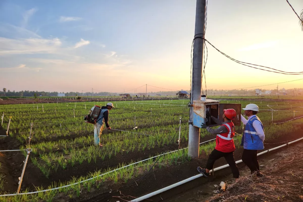 Listrik PLN Bantu Petani Bone Hemat Biaya Operasional 74 Persen