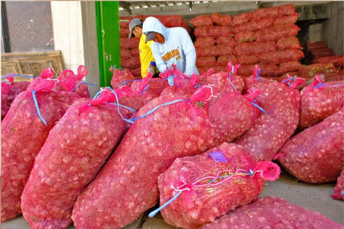 Rupiah Melemah, Harga Bawang Putih Impor Katrol Inflasi Juni 2026