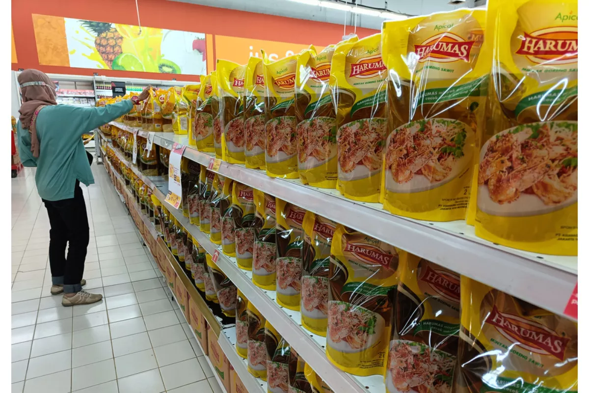Pantauan Tips Harga Minyak Goreng dan Dampak Regulasi Pengemasan