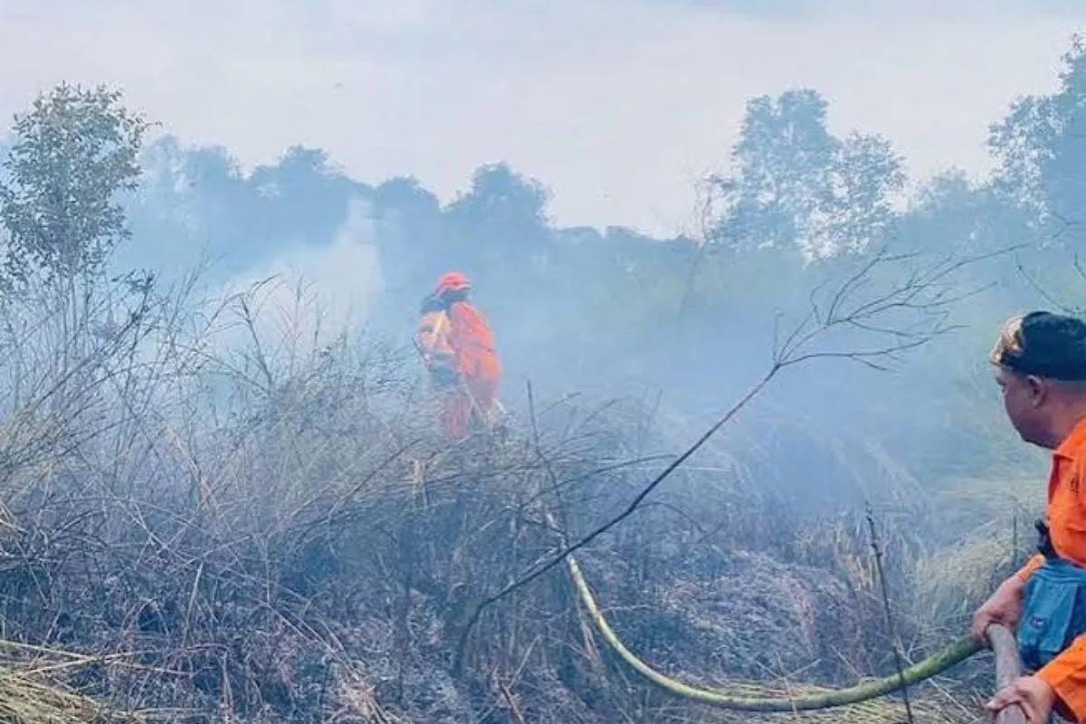BNPB Guyur 1,05 Juta Liter Air untuk Padamkan Karhutla Kalbar