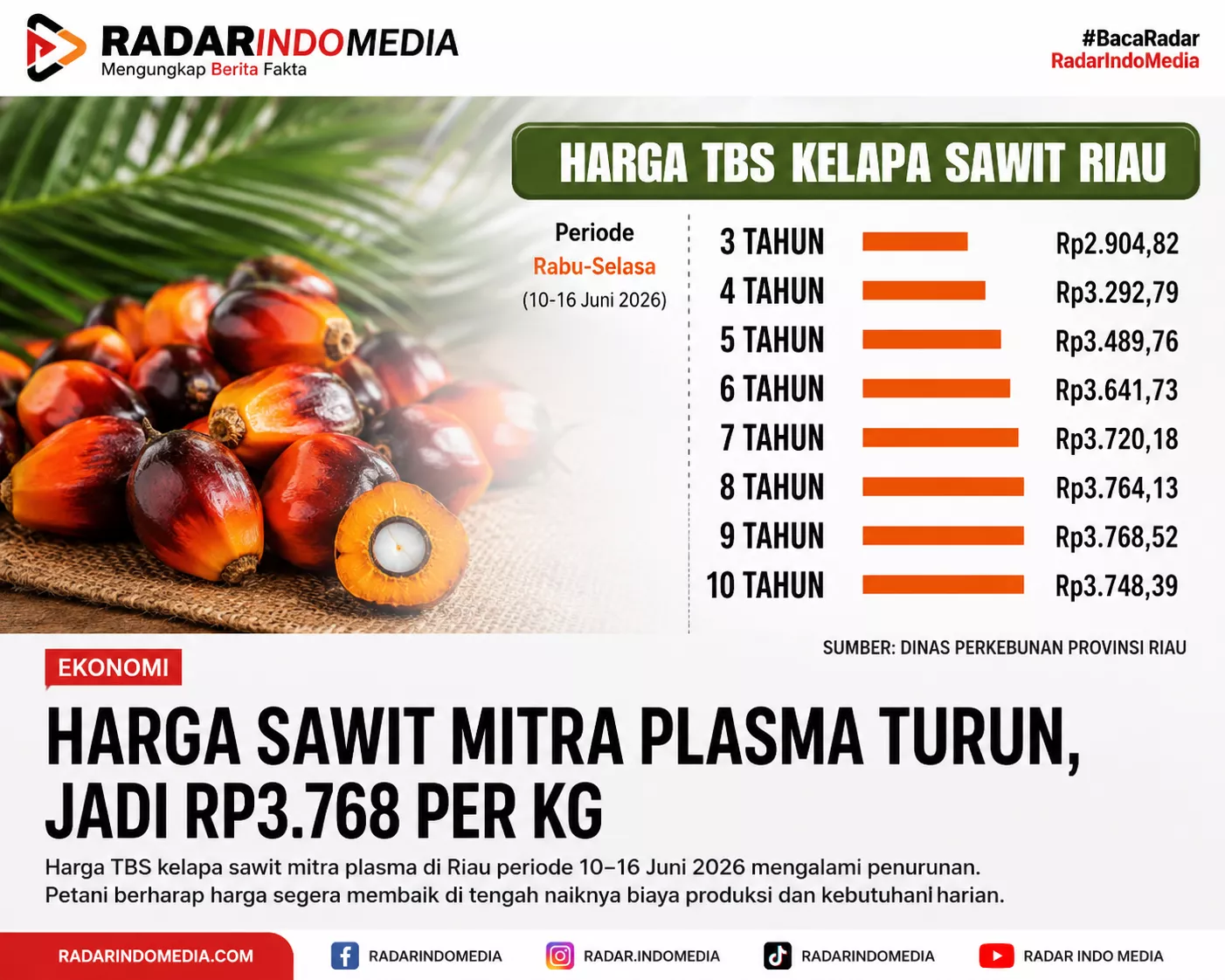 Harga Sawit Plasma Turun Jadi Rp3.768 per Kg, Petani Kembali Menanggung Beban