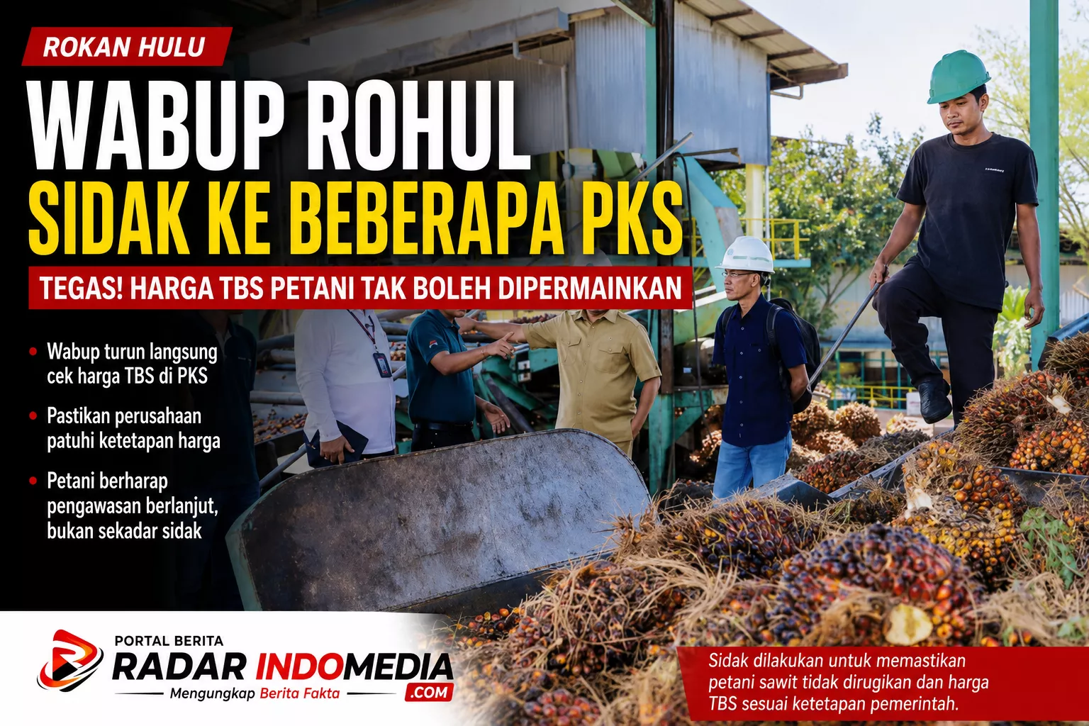 HARGA TBS DIPERMASALAHKAN, WABUP ROHUL TURUN GUNUNG! PKS DIINGATKAN JANGAN MAIN-MAIN DENGAN NASIB PETANI