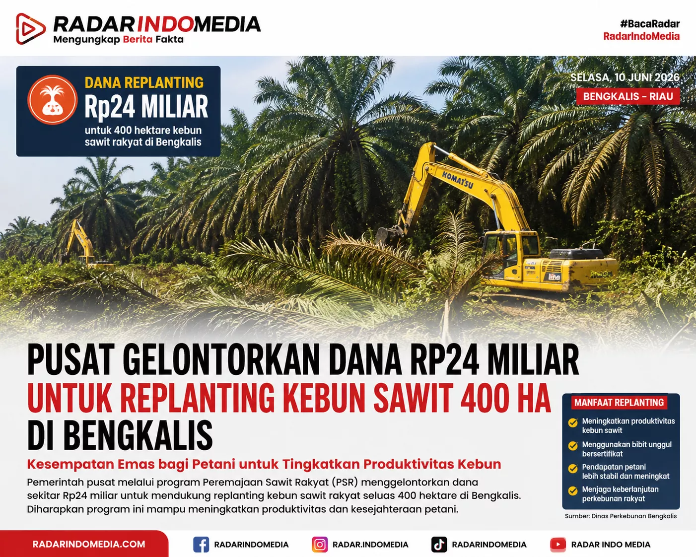 Rp24 Miliar Digelontorkan ke Bengkalis, 400 Hektare Kebun Sawit Rakyat Siap Diremajakan