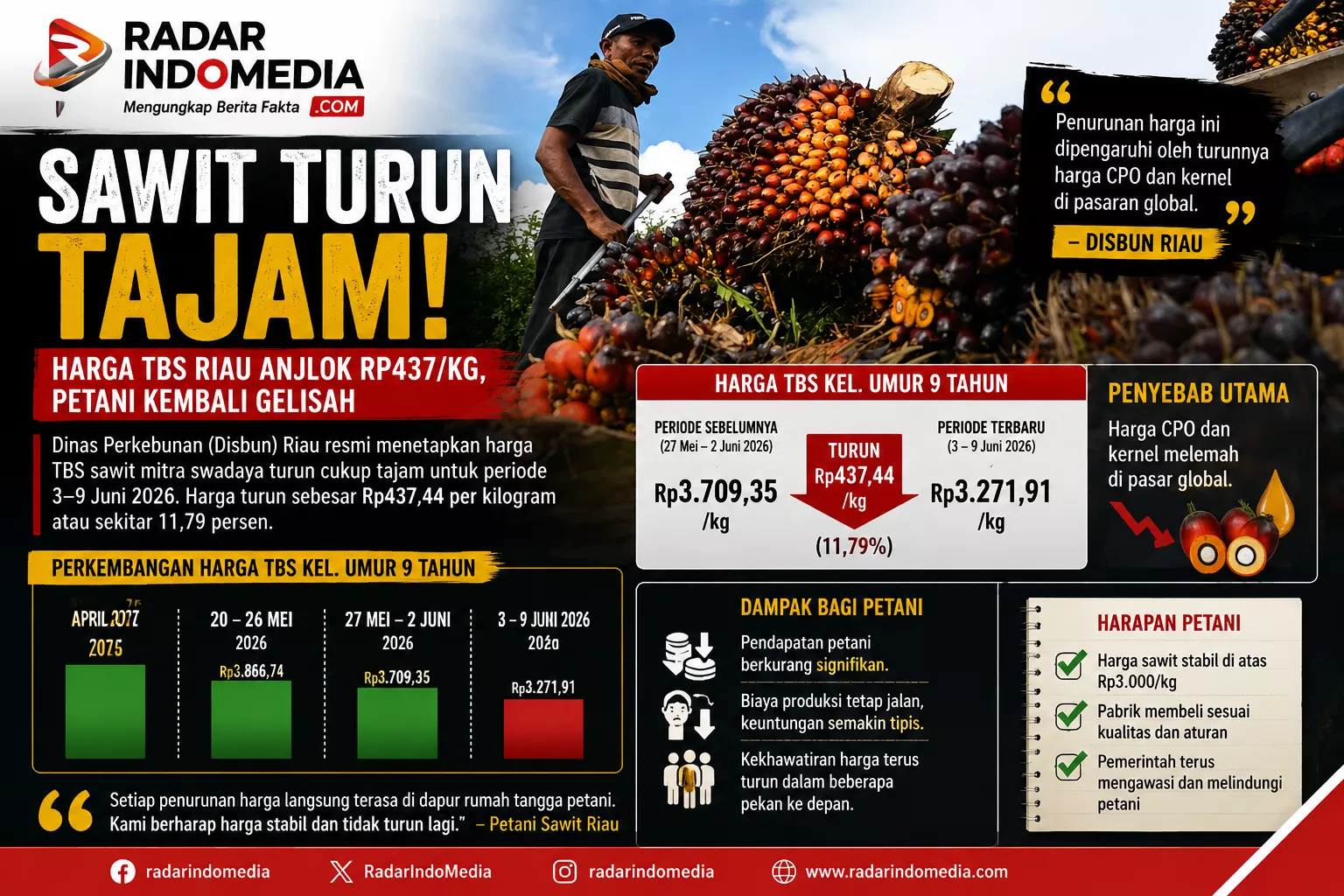 SAWIT TURUN TAJAM!  Harga TBS Riau Ambles Rp437 per Kilogram, Petani Kembali Gelisah