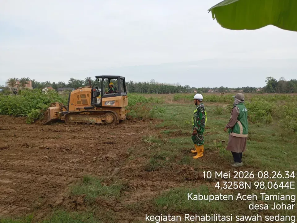 Banjir Bandang Rendam 300 Hektare Sawah di Aceh Tamiang, Rehabilitasi Lahan Baru Dimulai