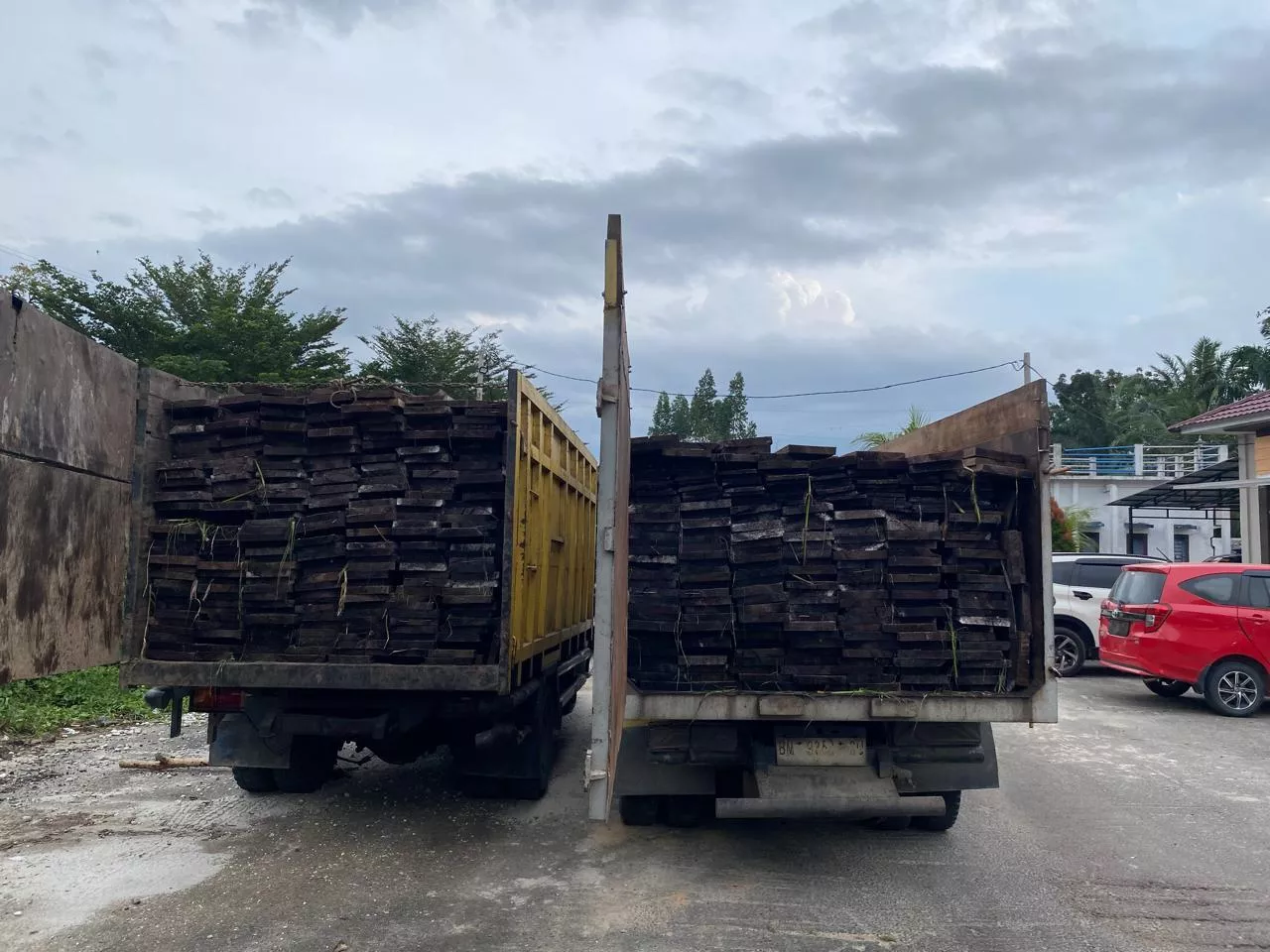 Illegal Logging di Pelalawan, Polisi Amankan 20 Kubik Kayu