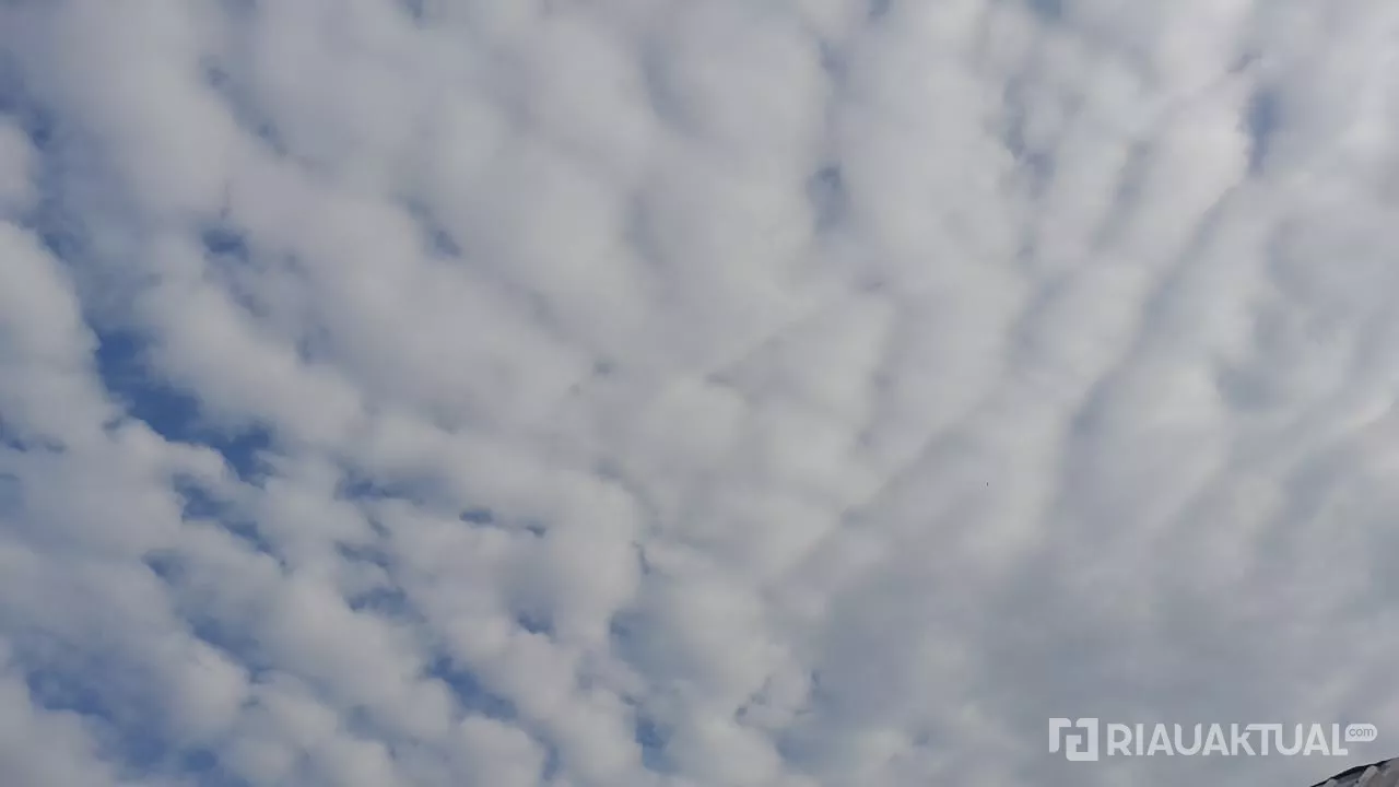 Cuaca Riau Awal Pekan Diprediksi Berawan dengan Potensi Hujan Ringan di Sejumlah Wilayah 