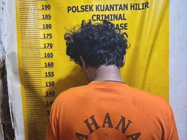 Tertangkap Basah Curi Sawit PT Agrinas, Pemuda di Kuansing Diamankan Polisi