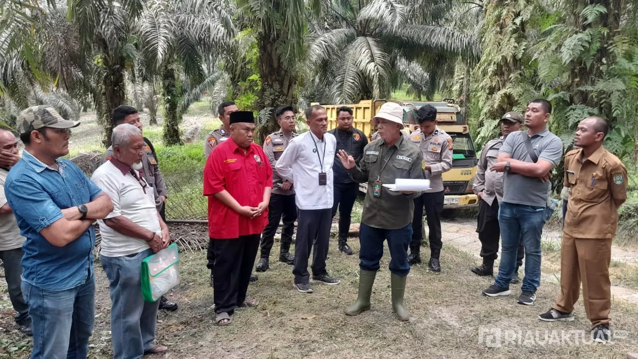 Kuasa Hukum Beberkan Kejanggalan Eksekusi Lahan Sawit Bersertifikat di Siak