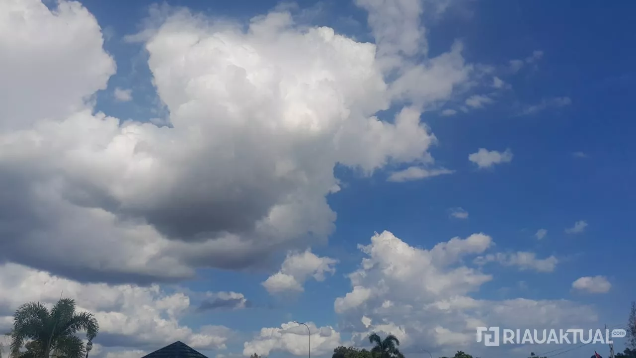 Cuaca Cerah Berawan Tanpa Hujan, 251 Titik Panas Terpantau di Riau