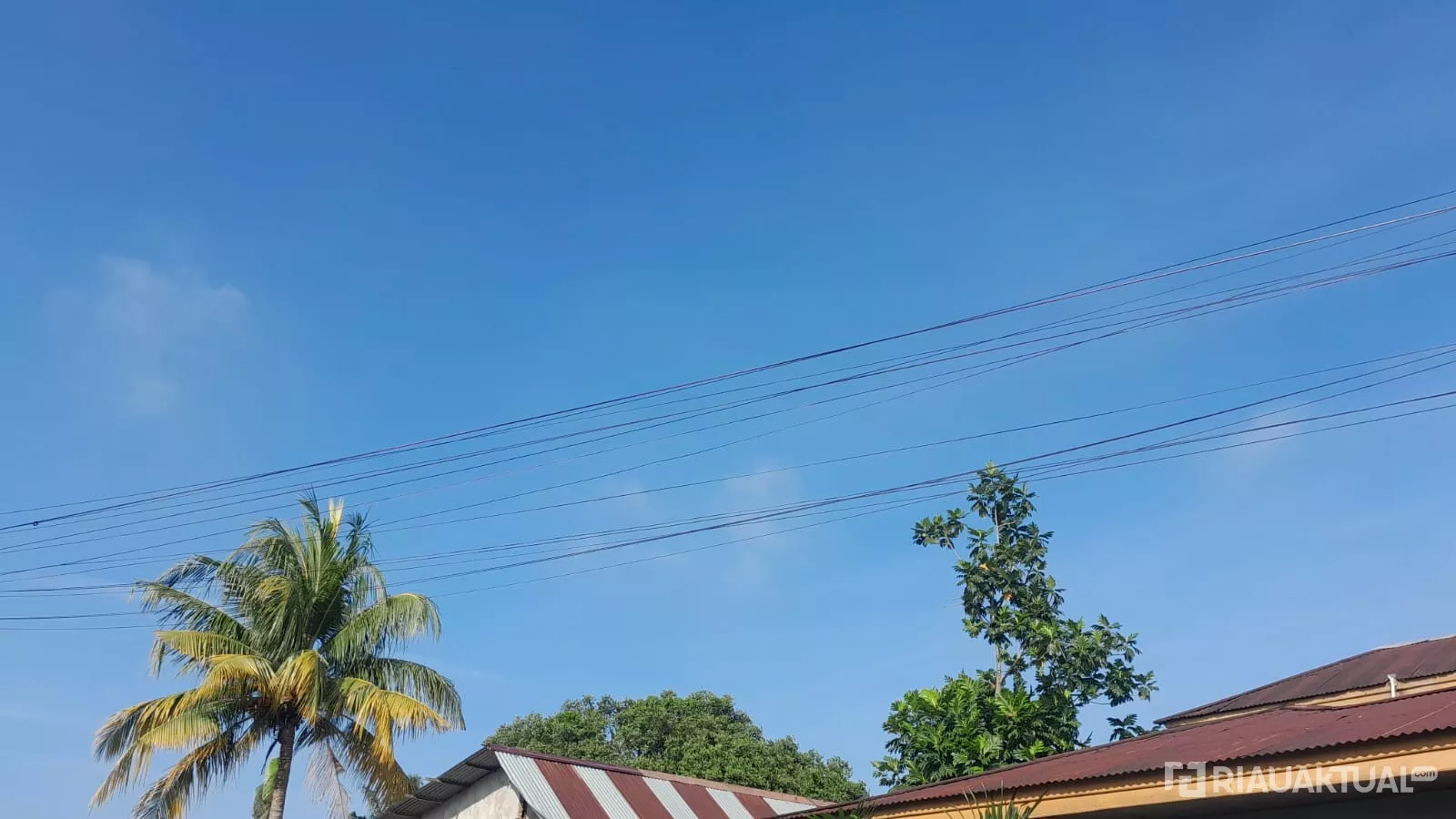 Siang Cerah, Hujan Diprediksi Guyur Sejumlah Wilayah di Riau Nanti Malam 