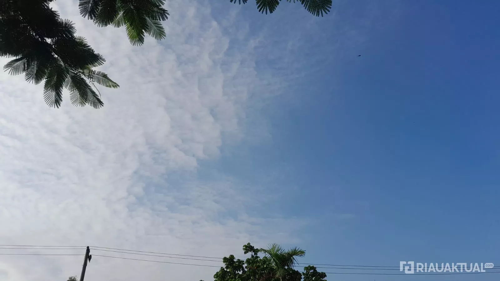 Cuaca Riau Didominasi Cerah Berawan, Hujan Lokal Masih Berpotensi Terjadi 