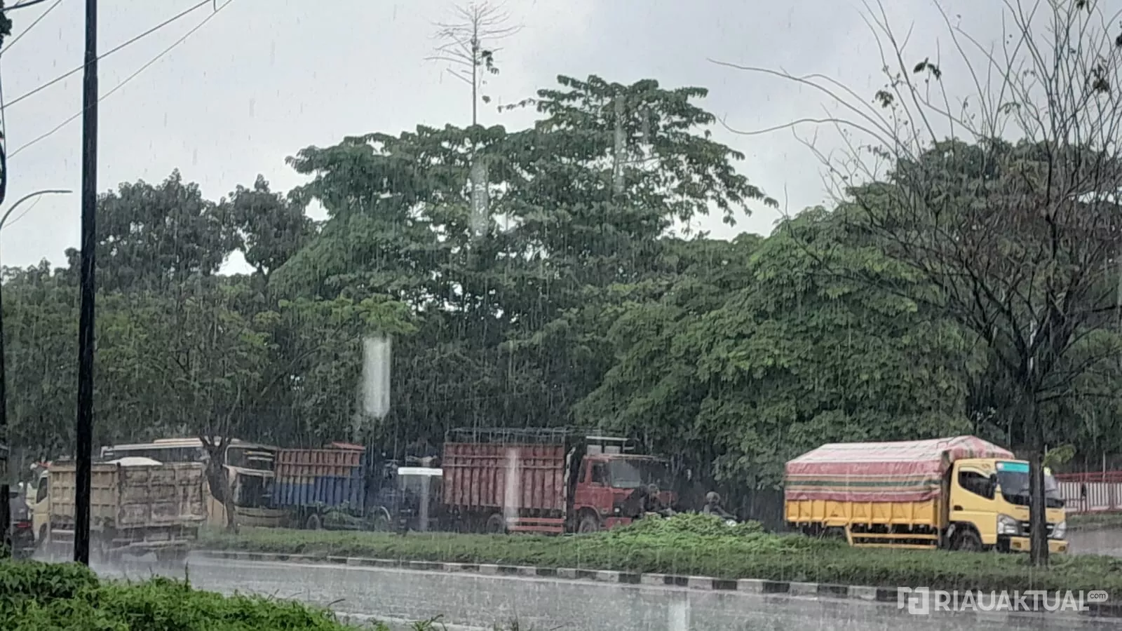 Riau Berpotensi Diguyur Hujan Sore hingga Dini Hari, Hotspot Nihil 