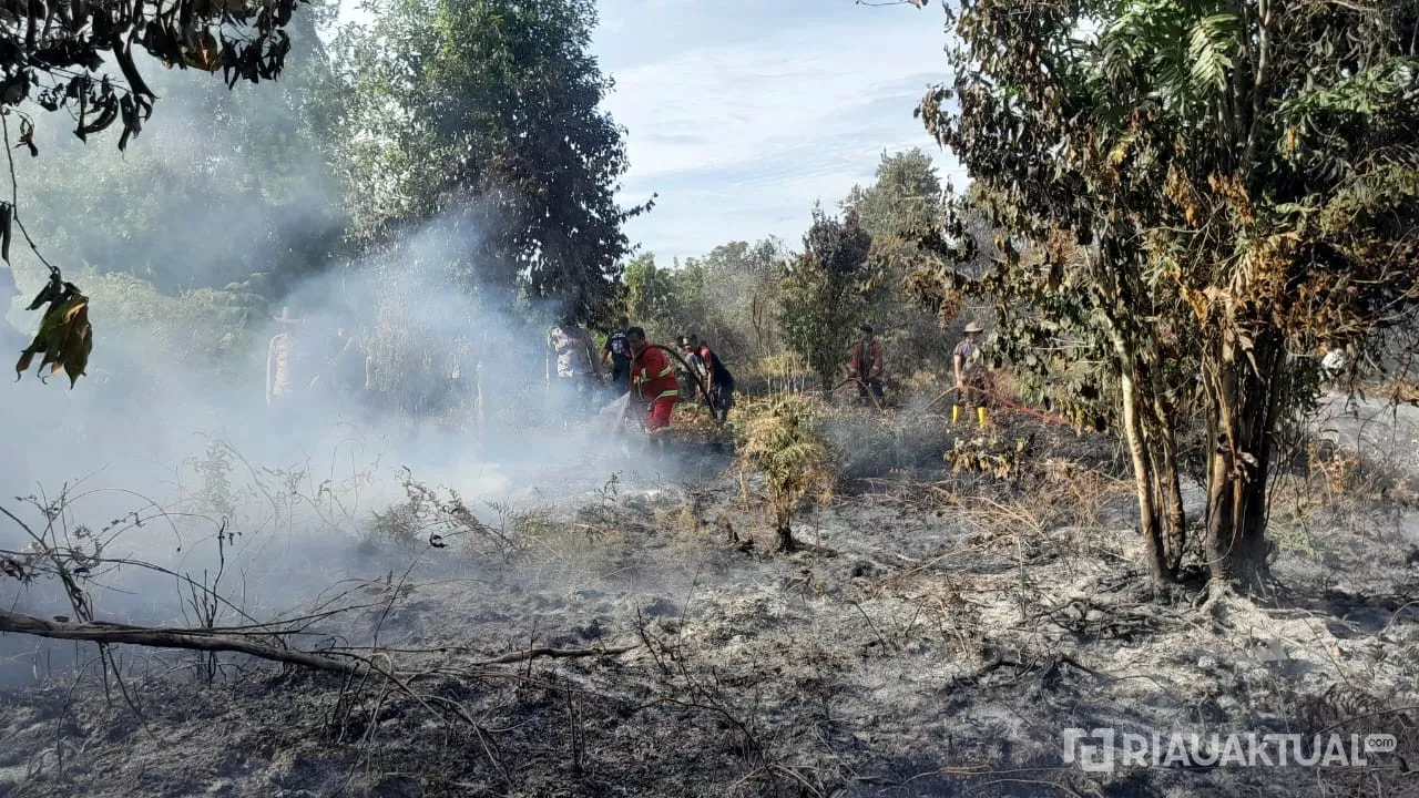 46 Titik Panas Terdeteksi di Riau, Terbanyak di Inhil