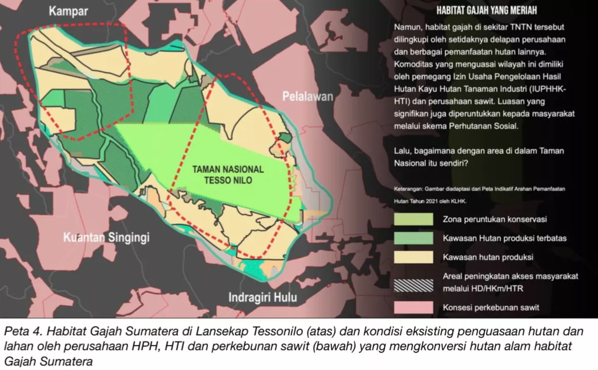 Apresiasi Pencabutan Izin HTI, Ahmad Zazai Dorong Pemerintah Selamatkan Habitat Gajah Tesso Nilo