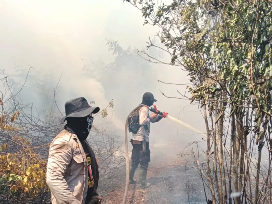 Enam Hari Membara, 15 Hektare Lahan di Bengkalis Masih Berasap