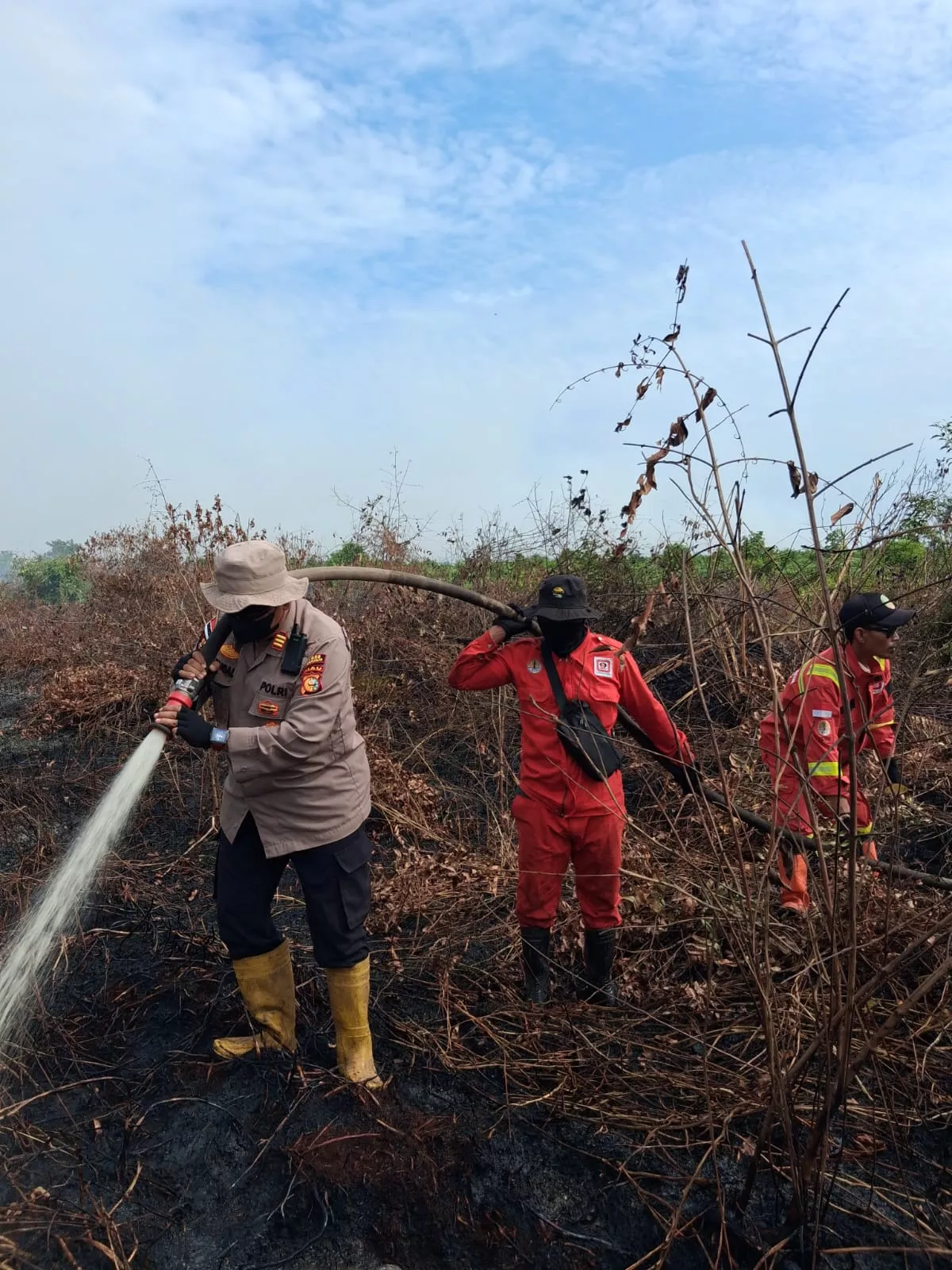 40 Titik Panas Terdeteksi di Riau, Terbanyak di Bengkalis