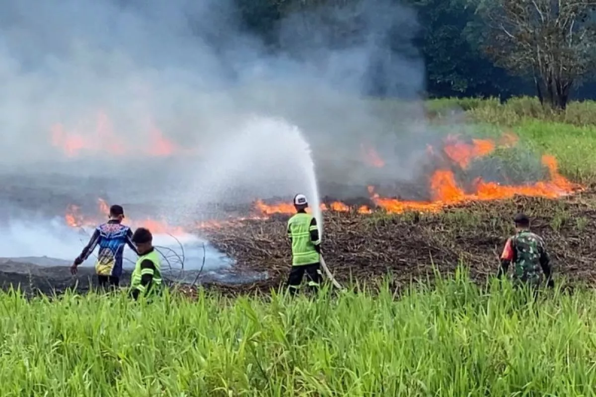 Luasan Karhutla di Riau Capai 182,76 Hektare