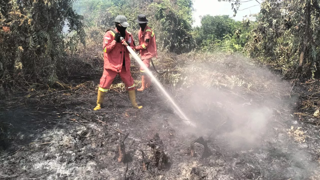 500 Hektar Lahan Gambut di Pulau Mendol Pelalawan Terbakar 