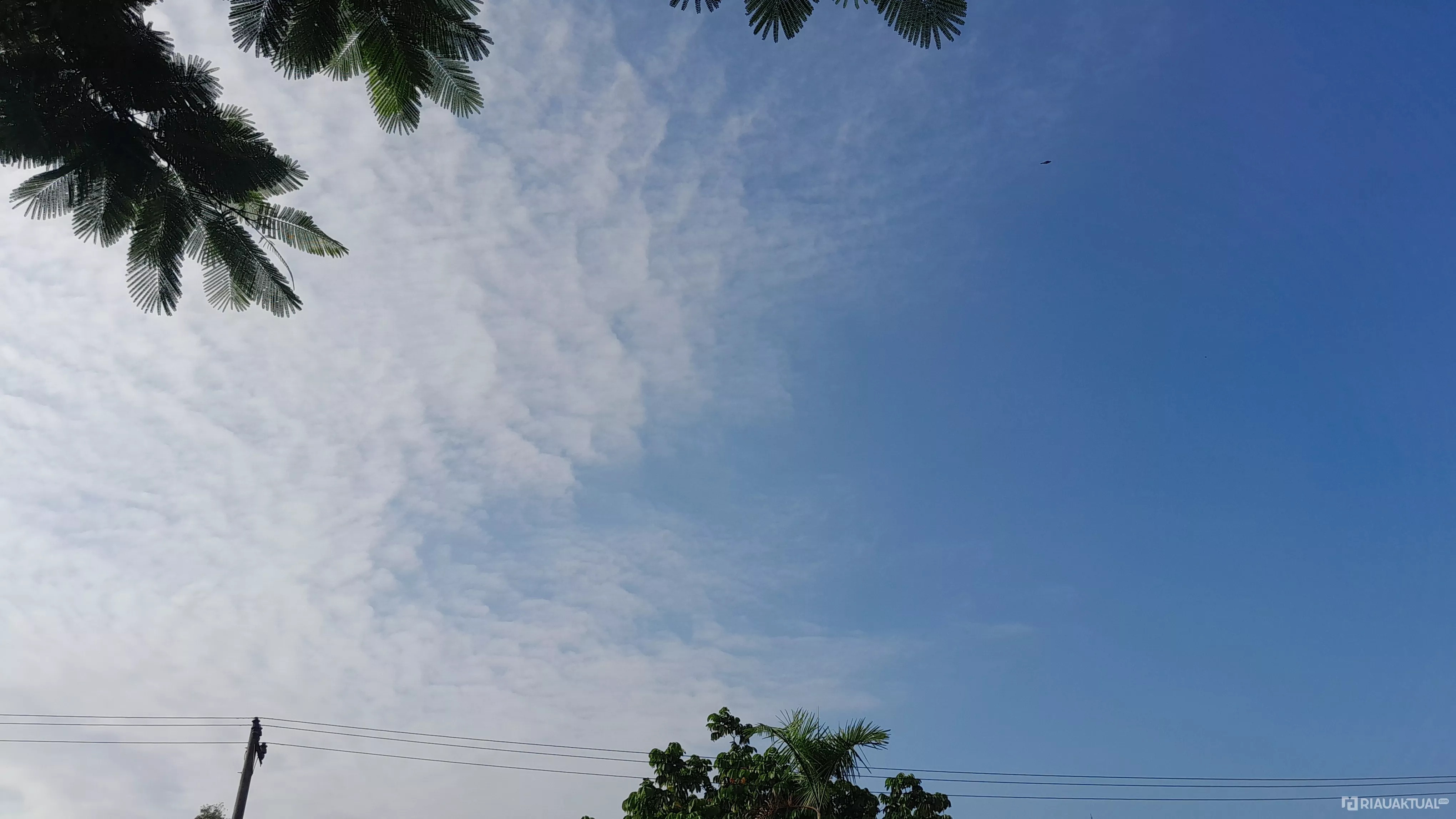 BMKG: Hujan Berpotensi Guyur Sejumlah Wilayah Riau 