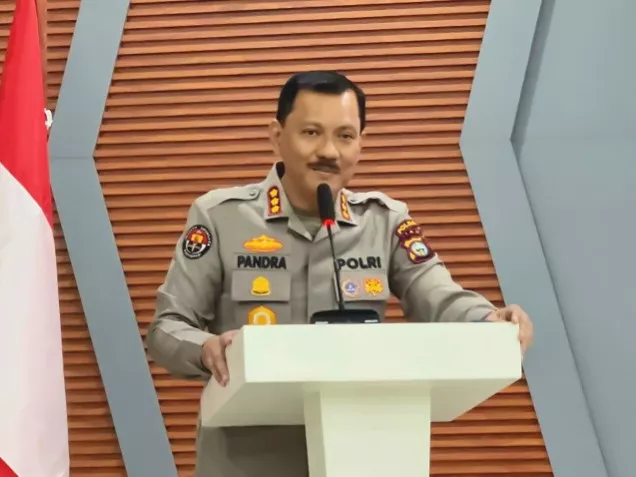 Pembantaian Gajah Sumatera di Pelalawan, Polda Riau Periksa 33 Saksi