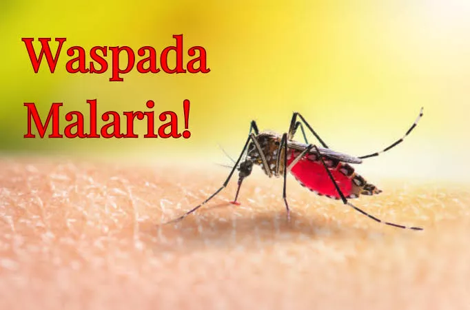 Kasus Malaria di Pekanbaru Nihil, Warga Diimbau Tetap Waspada 