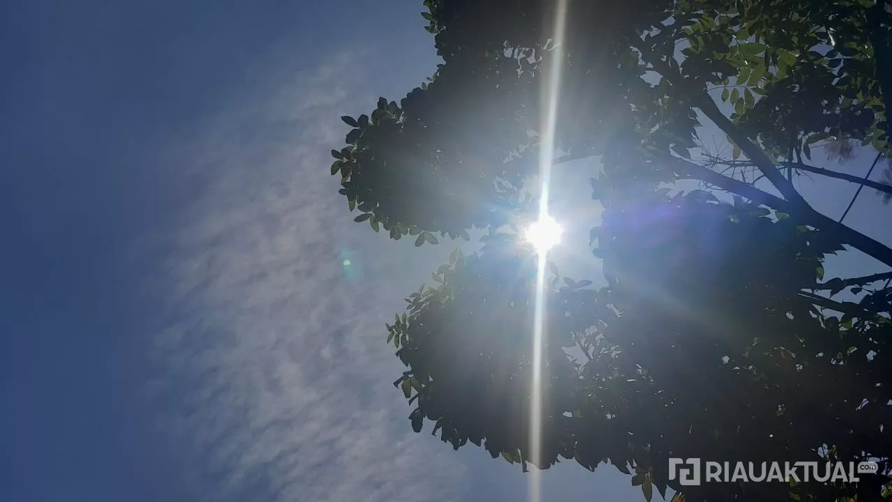 Cuaca Riau Didominasi Cerah, 15 Titik Panas Terdeteksi di Tiga Kabupaten 