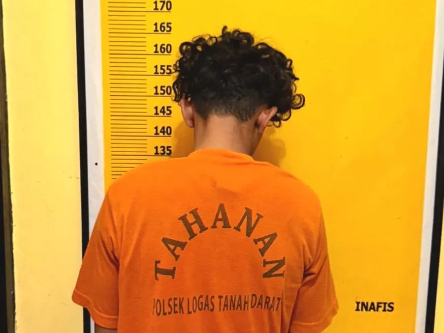 Diduga Curi TBS Sawit, Pemuda di Kuansing Diamankan Polisi