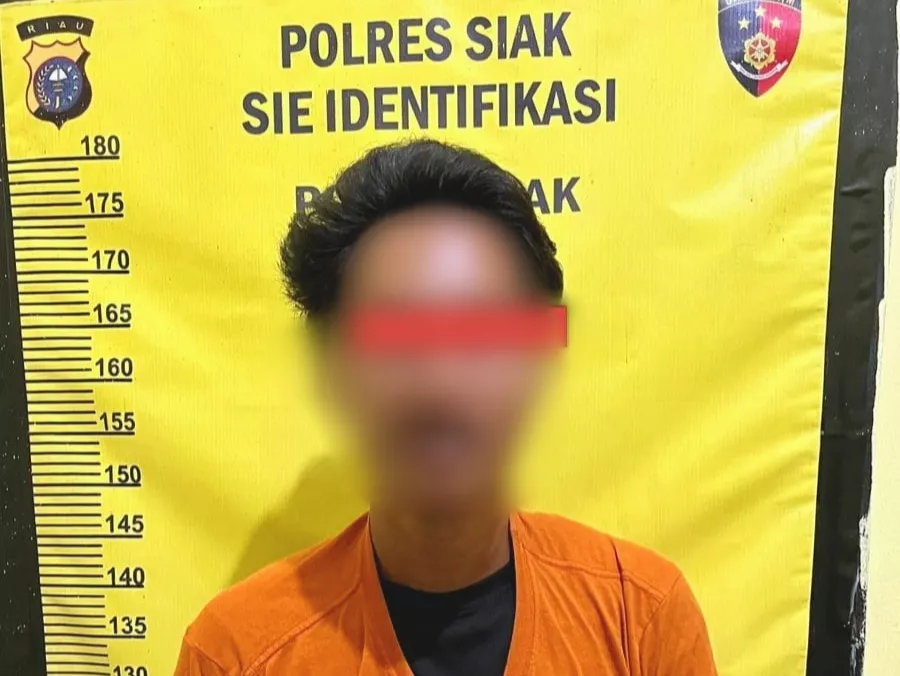 Iming-iming Es Krim, Pemuda di Siak Diduga Cabuli Anak 7 Tahun
