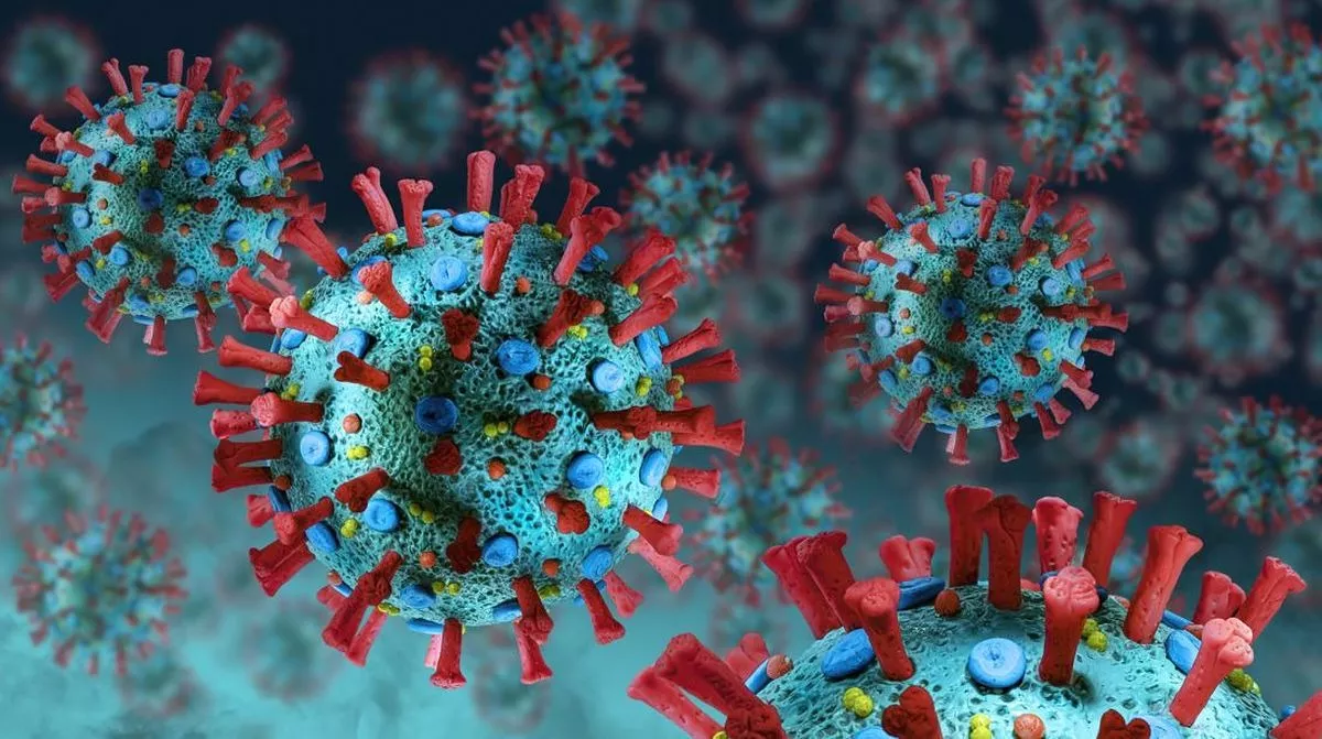 Virus Nipah Bikin 100 Orang Dikarantina, Waspadai 9 Gejala Ini