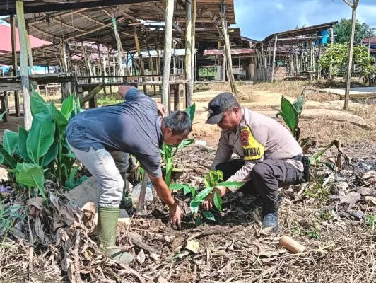 Polsek Rimba Melintang Sosialisasikan Green Policing dan Tanam Pohon di Pasar Selasa
