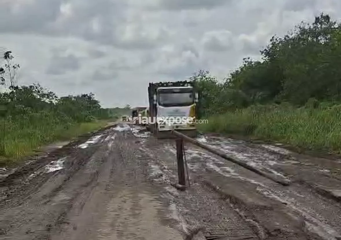 Janji Perbaikan Tak Kunjung Nyata, Warga Blokir Jalan Pemda Tualang