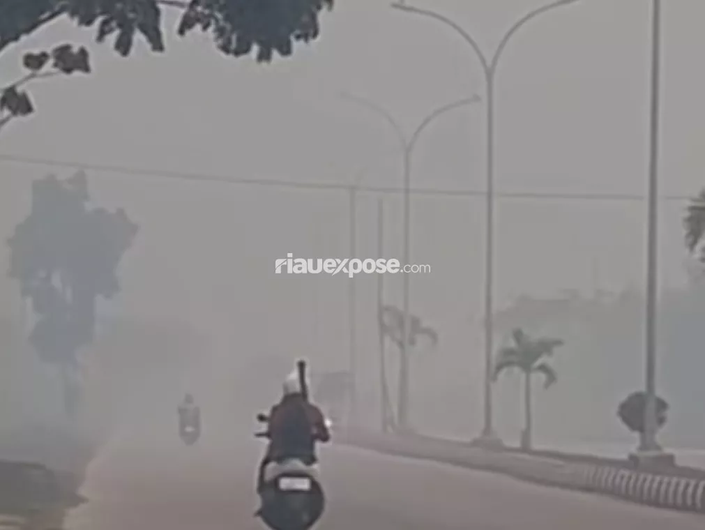 Pekanbaru Kembali Diselimuti Kabut Asap, Dua Penerbangan Delay 