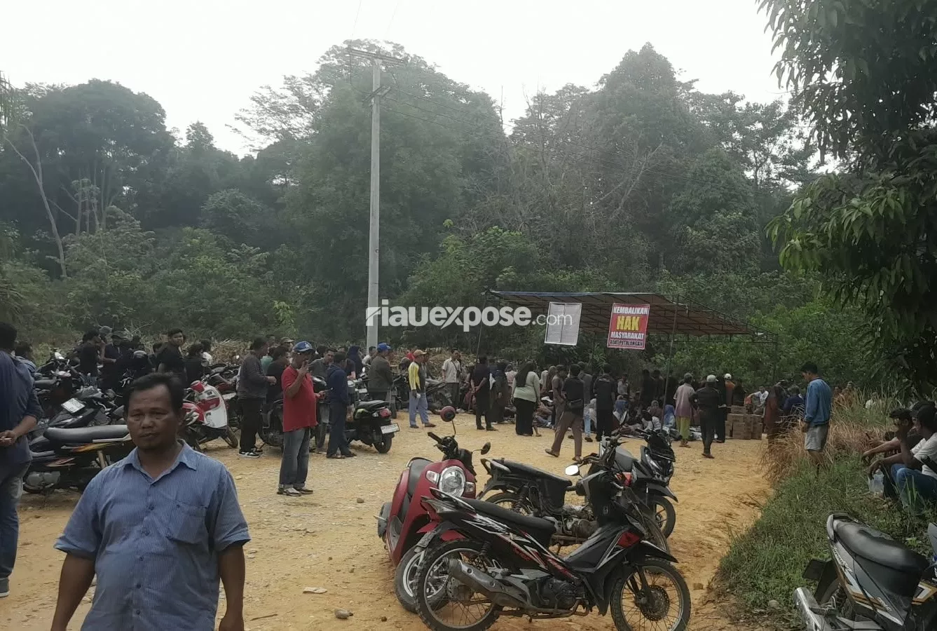 Tiga Jalan PT Serikat Putra Diblokir, Warga Tuntut Kemitraan 20 Persen