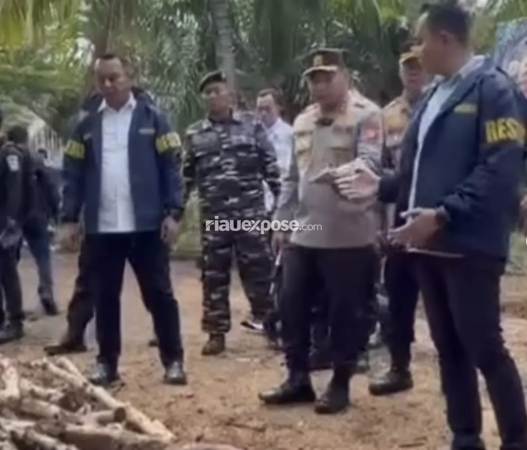Polda Riau Bongkar Sindikat Arang Bakau Ilegal ke Malaysia