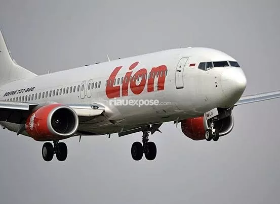 Lion Air Gagal Mendarat di SSK II Pekanbaru, Ini Penyebabnya