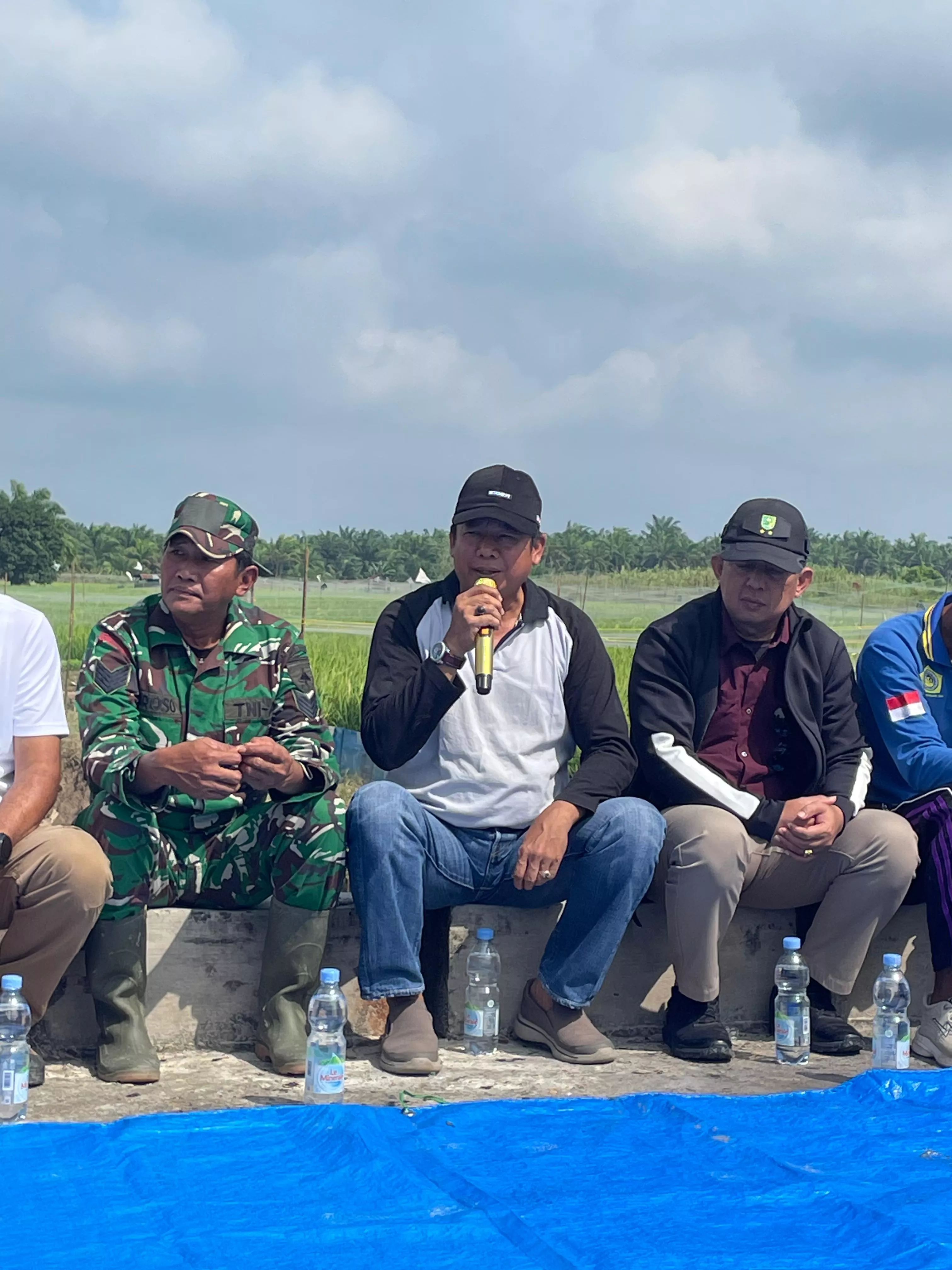 Wabup Hendrizal Tinjau Sawah di Teluk Sungkai, Tegaskan Larangan Alih Fungsi Lahan Pertanian