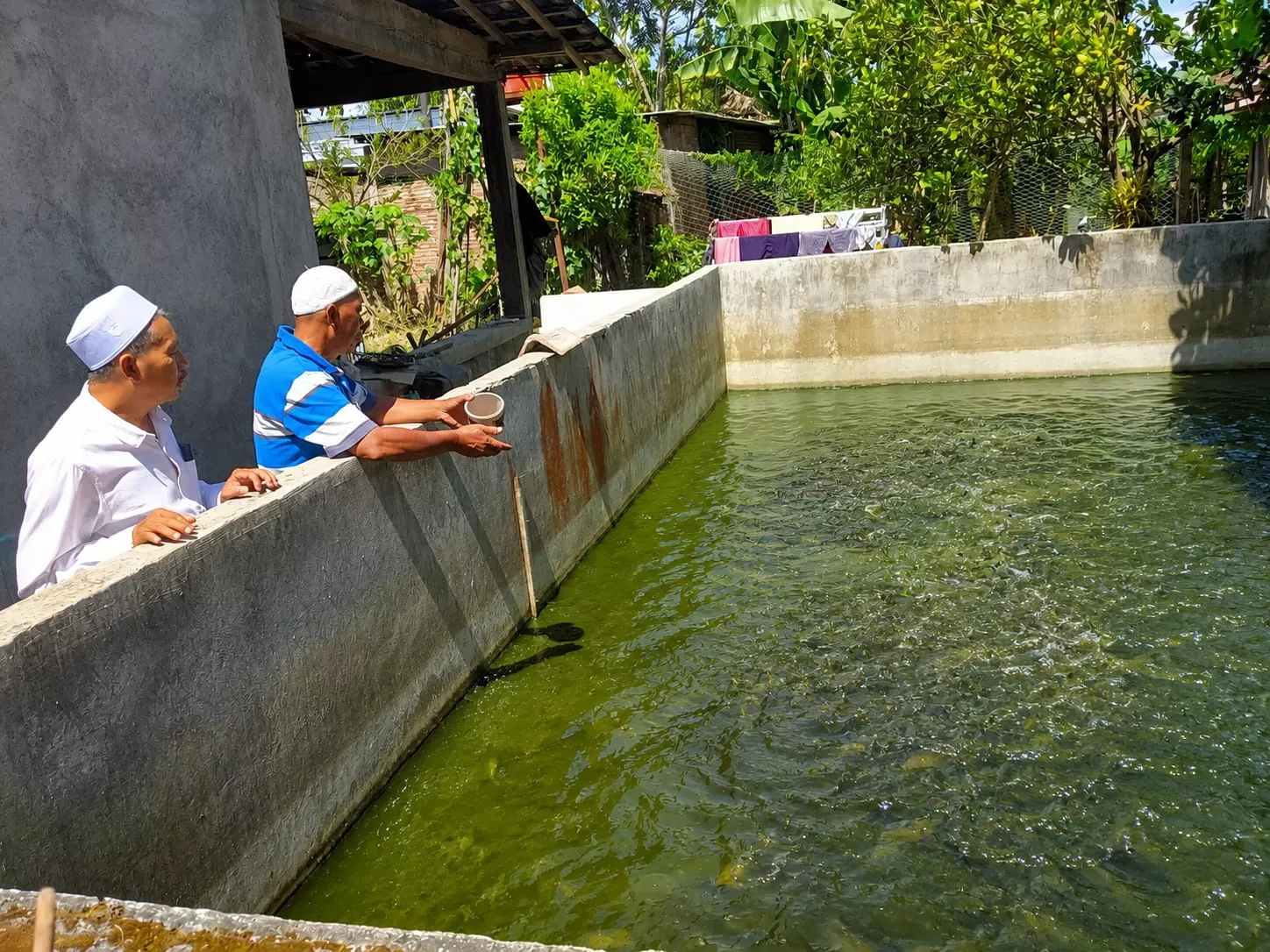 JATMA ASWAJA Karanganyar Kembangkan Program Lele Mutiara, Perkuat Kemandirian Ekonomi Jamaah