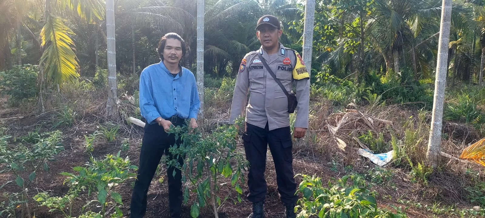 Bhabinkamtibmas Sambangi Kebun Cabai Warga, Perkuat Dukungan Program Asta Cita Ketahanan Pangan di Teluk Belengkong