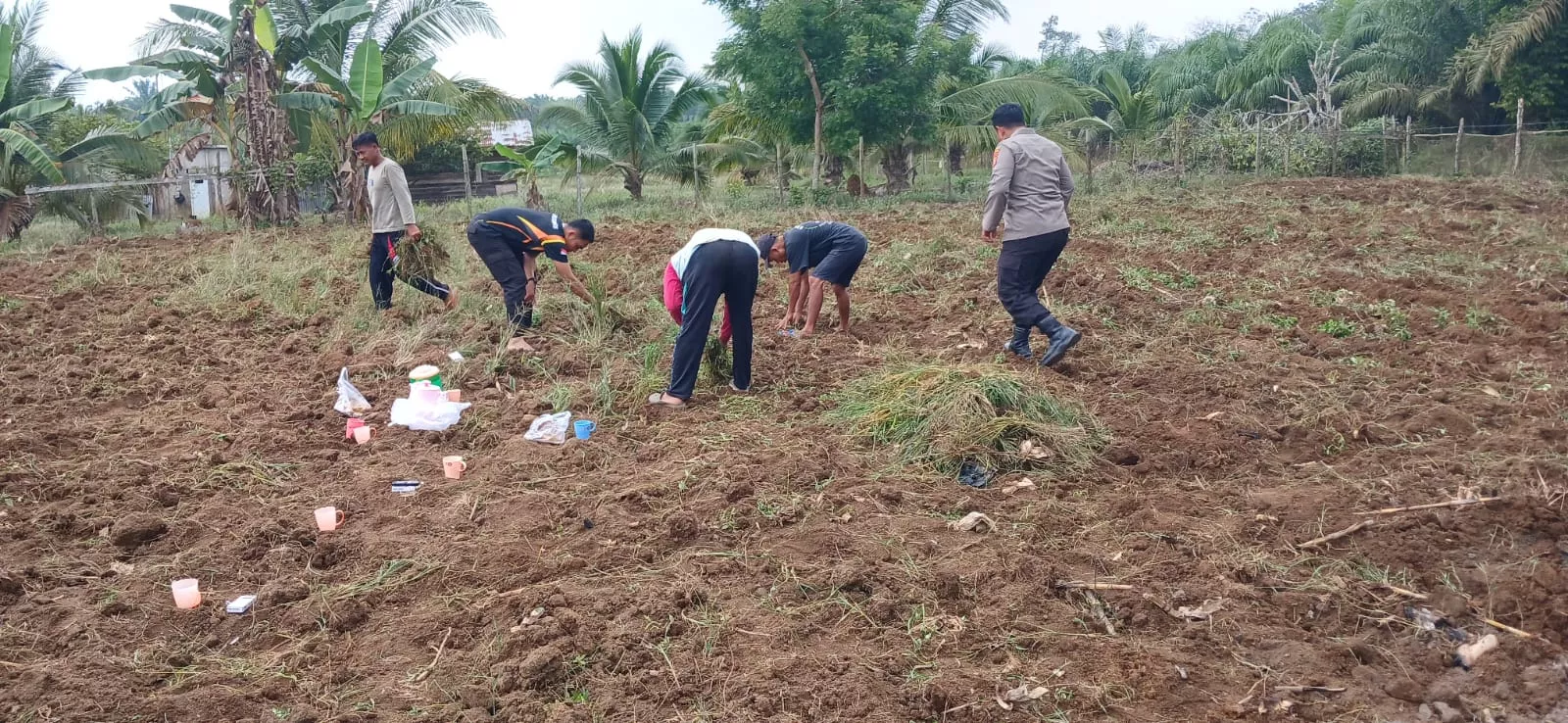 Swasembada Pangan Dengan Jagung Pipil, Ini Yang Dilakukan Polres Inhu