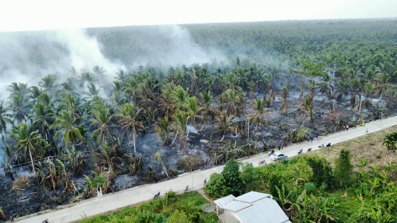 Perkebunan Kelapa Terbakar di Inhil, Jalan Diselimuti Asap Pekat