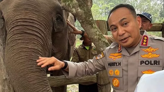 Pamit dari Riau, Kabaharkam Polri Komjen Herry Heryawan Titip Pesan Lestarikan Gajah Sumatra dan Alam