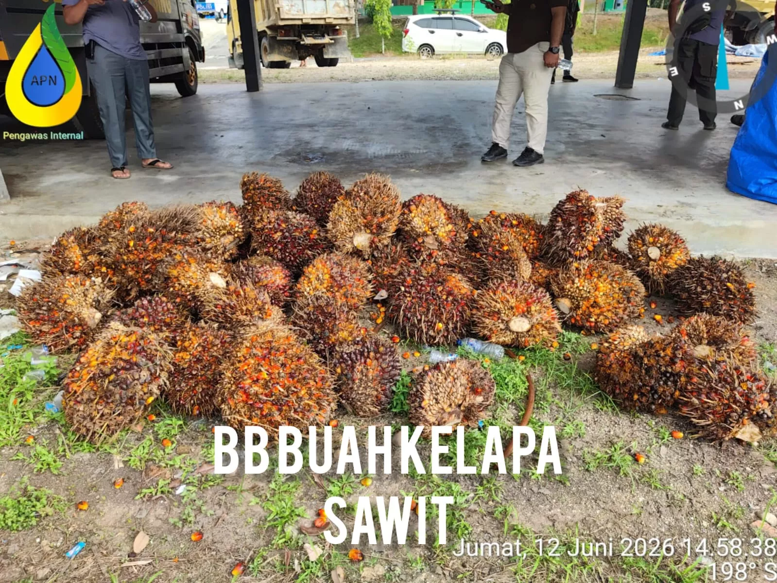 Polres Kuansing Ungkap Kasus Dugaan Penggelapan TBS Sawit, Tujuh Orang Diamankan