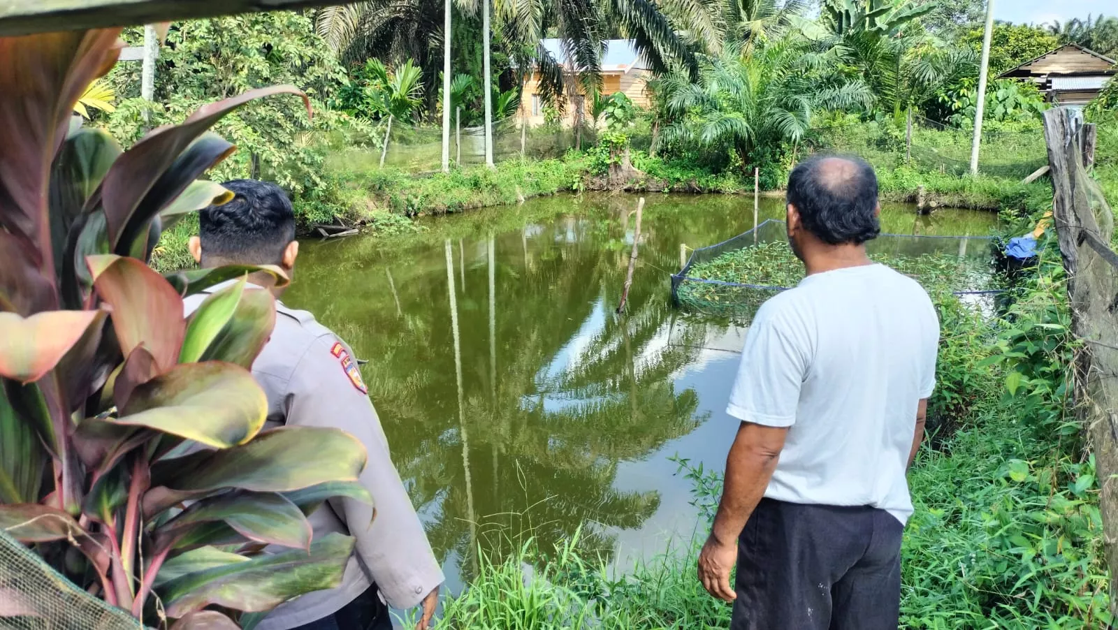  Lewat Budidaya Patin, Bhabinkamtibmas Kelesa Bangun Semangat Swasembada Pangan