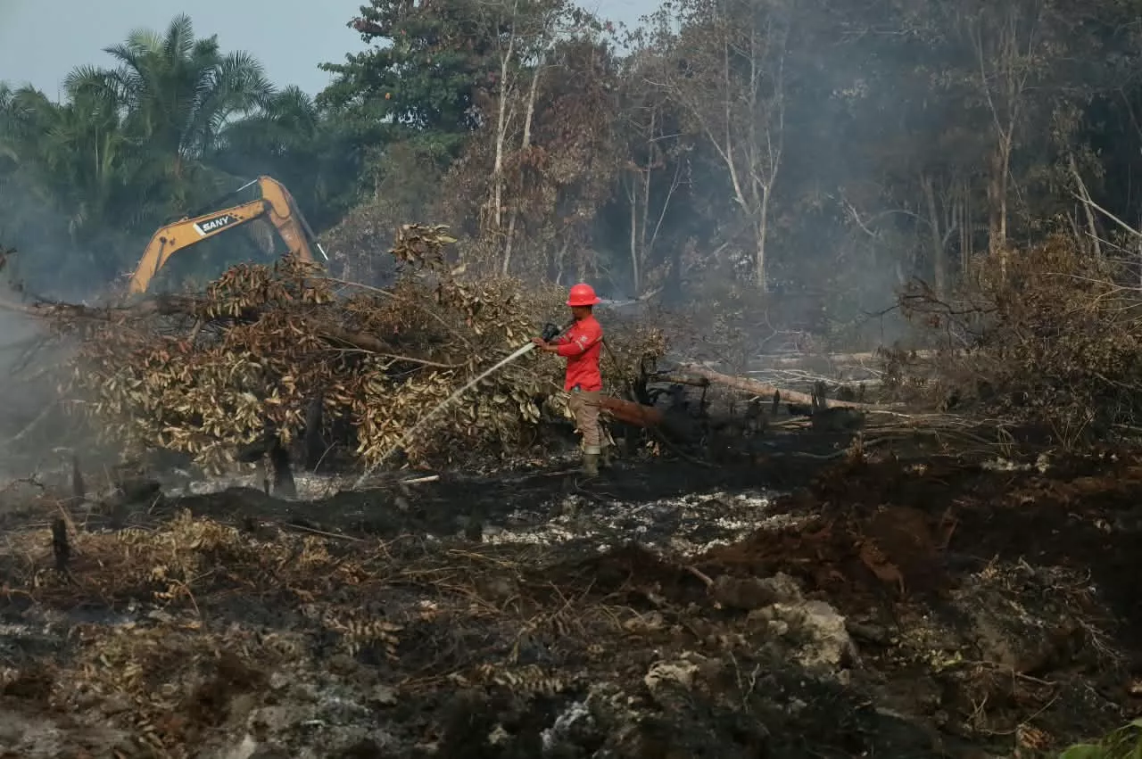 Karhutla Riau Bertambah 87,9 Hektare, Total Lahan Terbakar Capai 18.770 Hektare