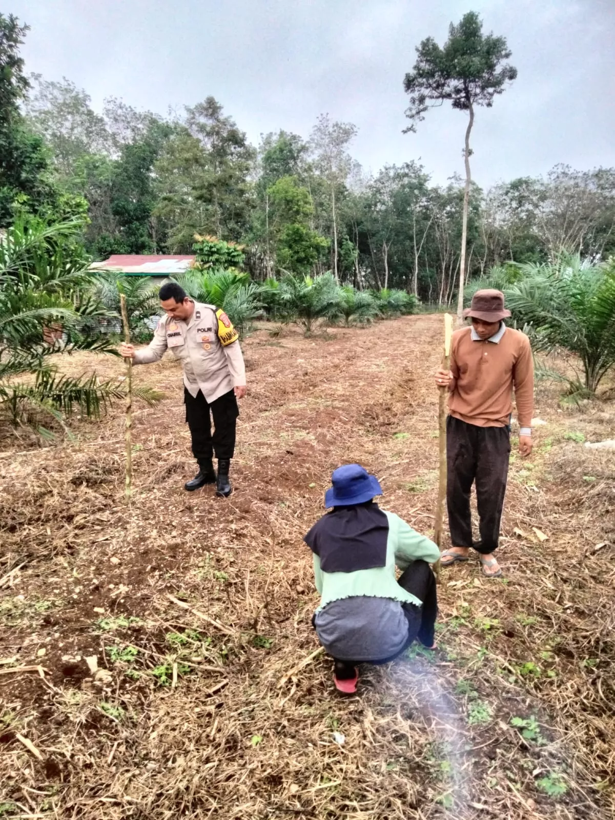 Polres Kuansing Dukung Swasembada Pangan, Penanaman Benih Jagung Pipil Digelar di Desa Munsalo