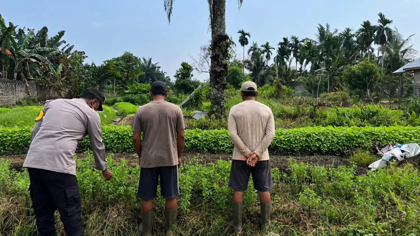  Polisi Seberida Dorong Pekarangan Jadi Lumbung Pangan Warga Bukit Meranti