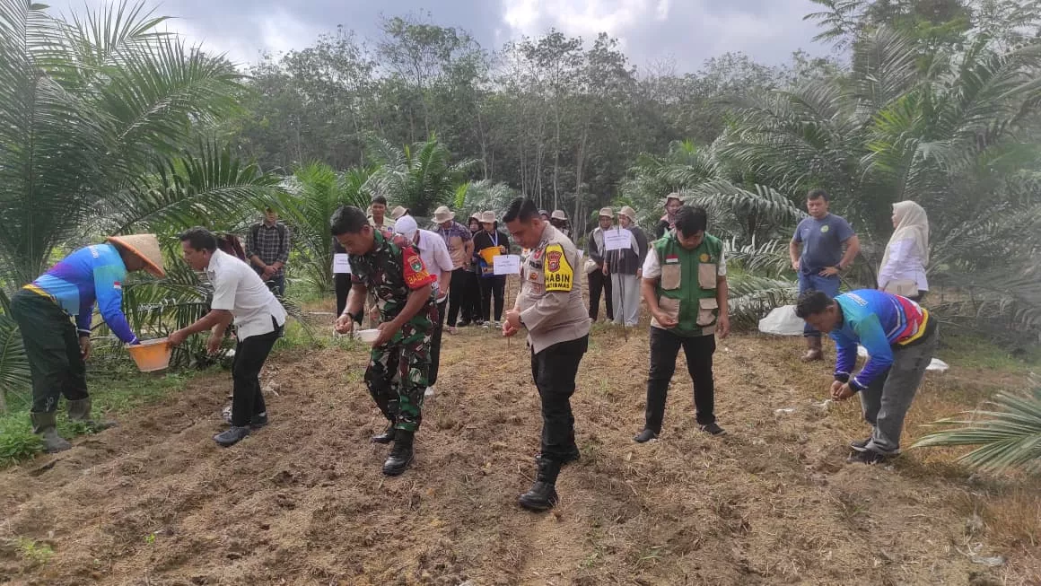 Polsek Benai Dukung Ketahanan Pangan, Laksanakan Penanaman Benih Jagung Pipil di Desa Geringging Baru