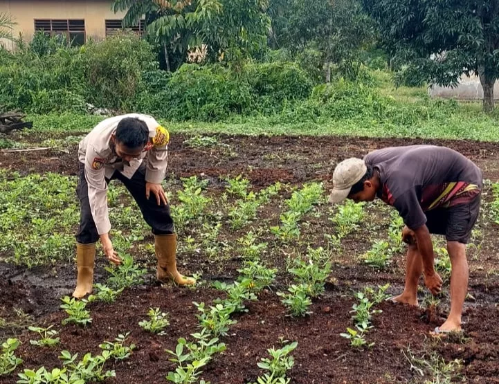 Bhabinkamtibmas Teluk Belengkong Turun Langsung ke Pekarangan Warga, Perkuat Gerakan Ketahanan Pangan Nasional